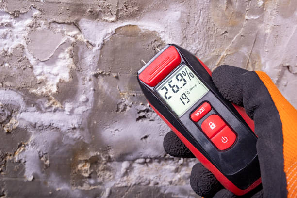 Mold Removal Process in Middletown, MD