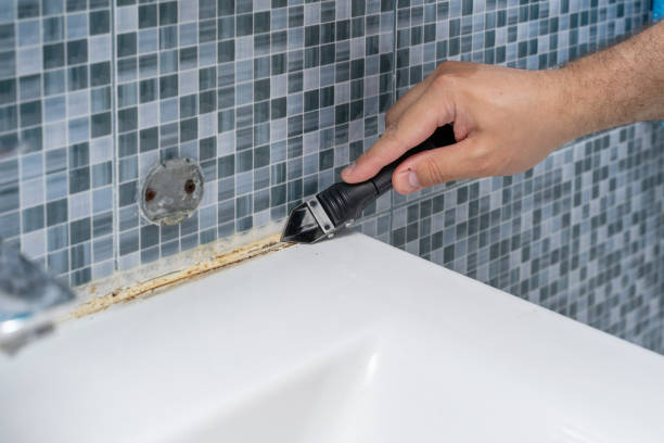 Best Professional Mold Removal  in Middletown, MD