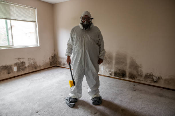 Best Mold Damage Repair  in Middletown, MD
